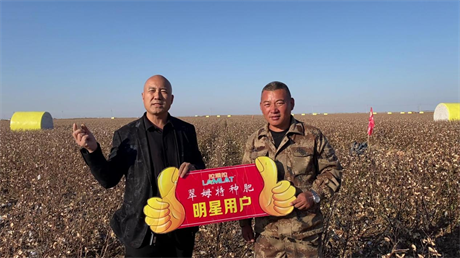 棉花种植,进口水溶肥,翠姆水溶肥