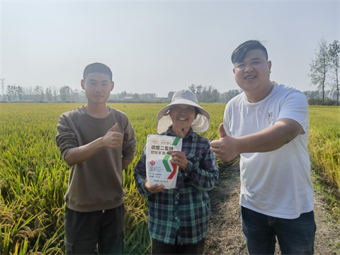 水溶肥,水稻种植,翠姆磷酸二氢钾